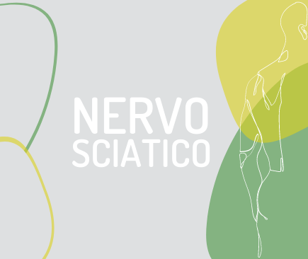 nervo sciatico